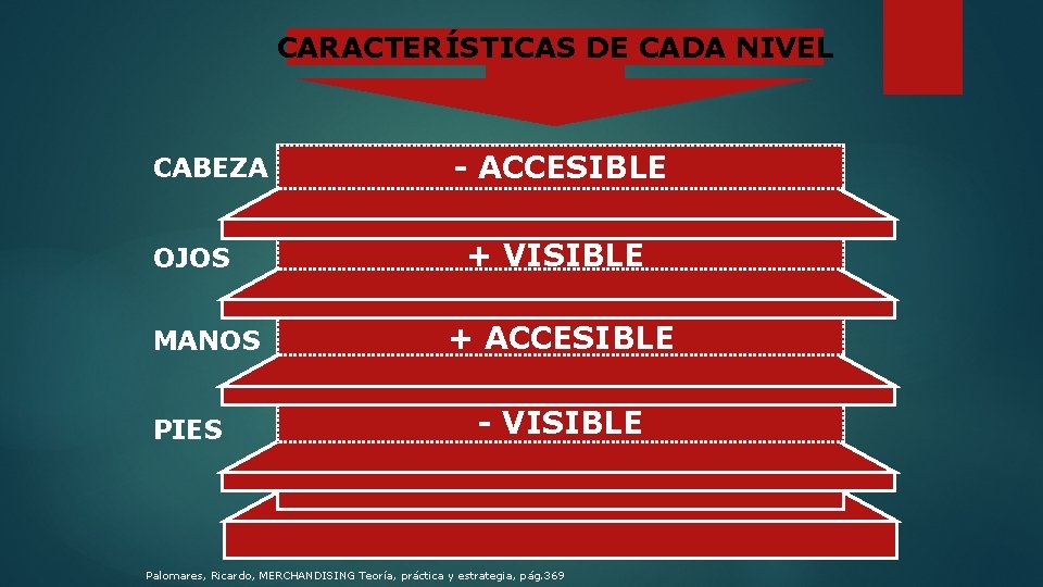 CARACTERÍSTICAS DE CADA NIVEL CABEZA OJOS MANOS PIES - ACCESIBLE + VISIBLE + ACCESIBLE