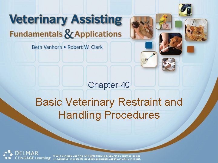 Chapter 40 Basic Veterinary Restraint and Handling Procedures © 2011 Cengage Learning. All Rights