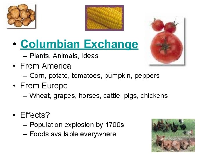  • Columbian Exchange – Plants, Animals, Ideas • From America – Corn, potato,