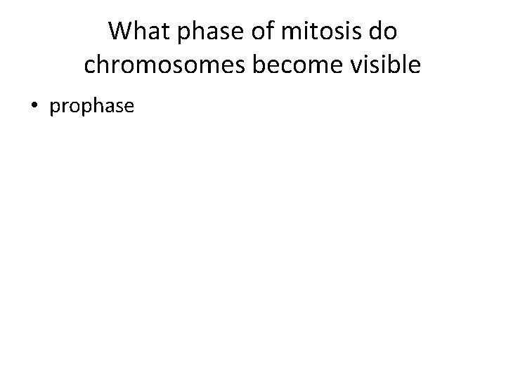 What phase of mitosis do chromosomes become visible • prophase 