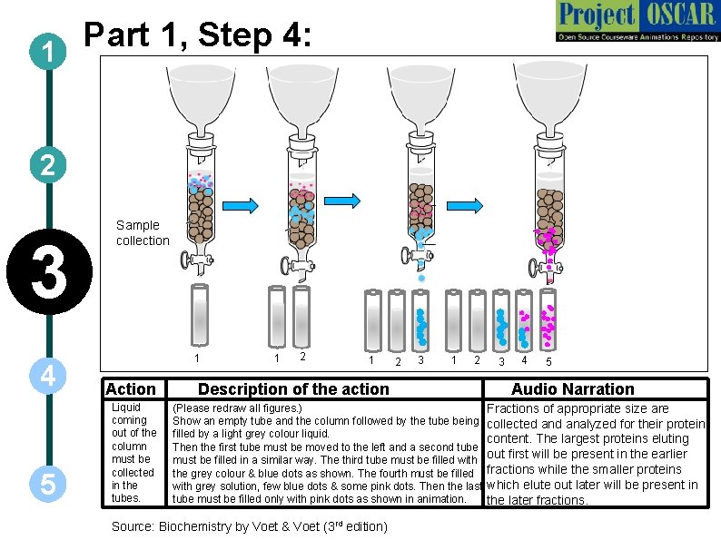 Part 1, Step 4: 1 2 3 4 5 Sample collection 1 Action Liquid