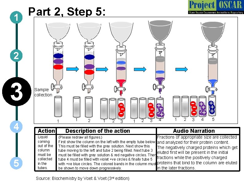 Part 2, Step 5: 1 2 3 Sample collection 1 4 Action 5 Liquid