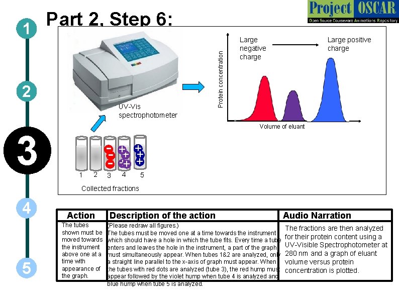 2 UV-Vis spectrophotometer 3 Protein concentration Part 2, Step 6: 1 Large negative charge