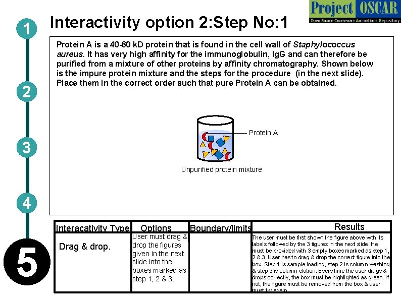 1 2 Interactivity option 2: Step No: 1 Protein A is a 40 -60