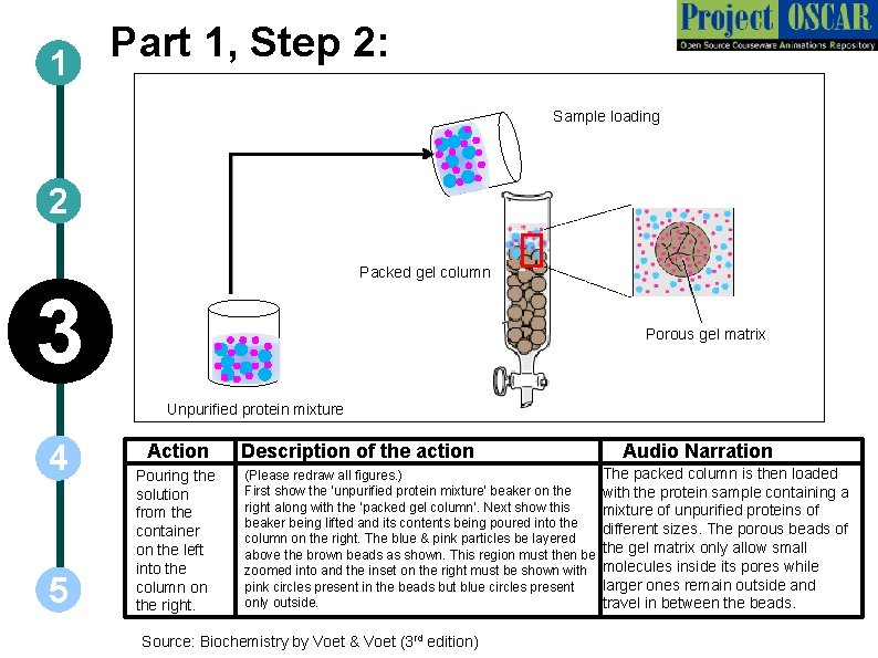 Part 1, Step 2: 1 Sample loading 2 Packed gel column 3 Porous gel