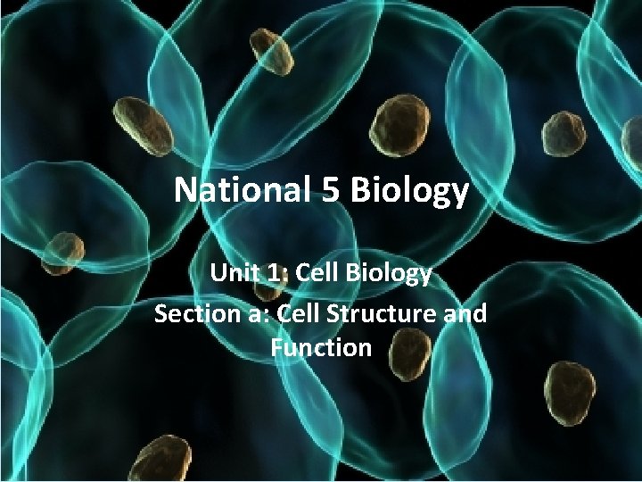 National 5 Biology Unit 1: Cell Biology Section a: Cell Structure and Function 
