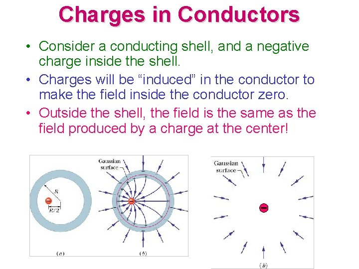 Charges in Conductors • Consider a conducting shell, and a negative charge inside the