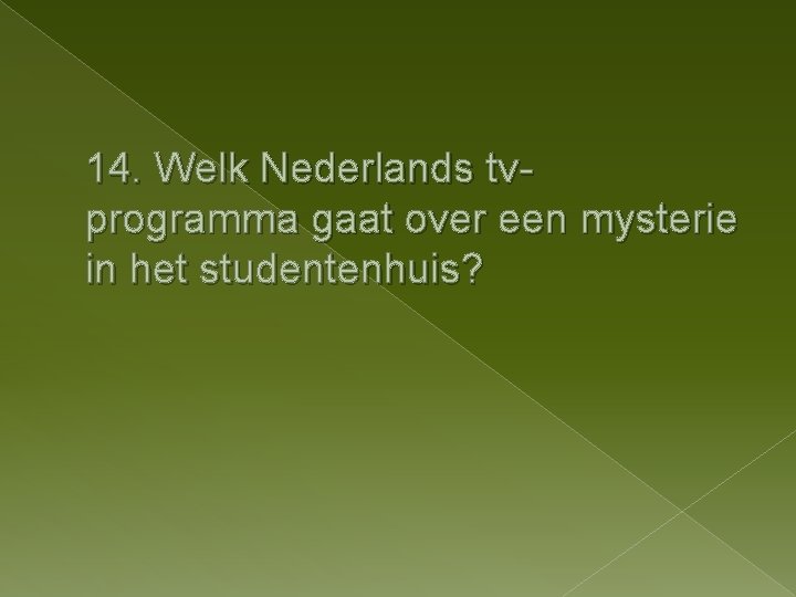 14. Welk Nederlands tvprogramma gaat over een mysterie in het studentenhuis? 