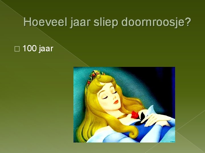 Hoeveel jaar sliep doornroosje? � 100 jaar 