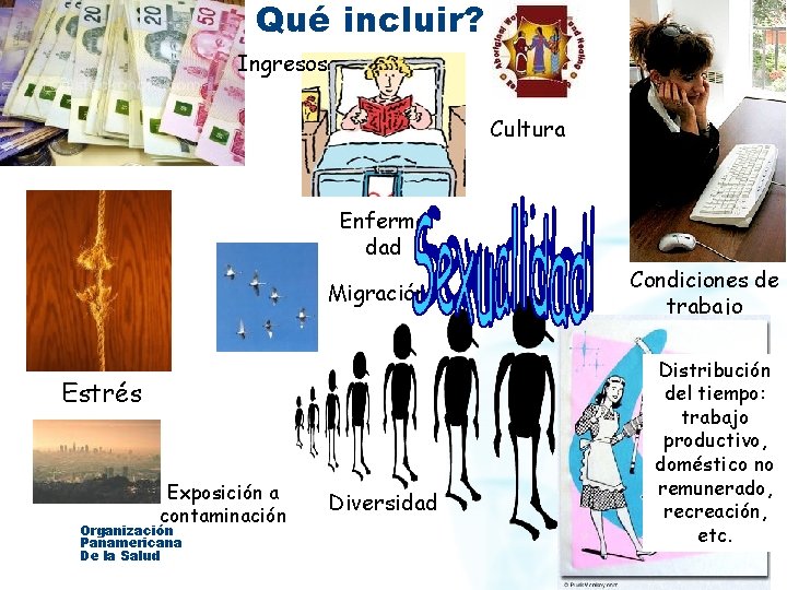 Qué incluir? Ingresos Cultura Enferme dad Migración Estrés Exposición a contaminación Organización Panamericana De