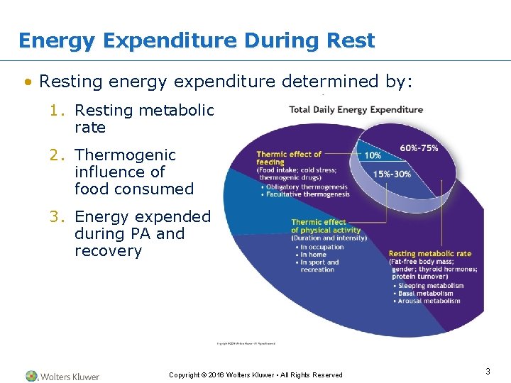 Chapter 8 Energy Expenditure During Rest and Physical