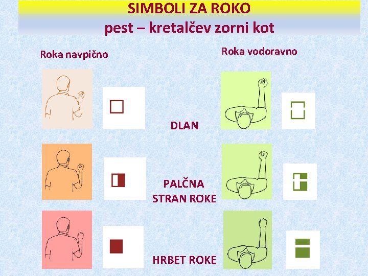 SIMBOLI ZA ROKO pest – kretalčev zorni kot Roka vodoravno Roka navpično DLAN PALČNA