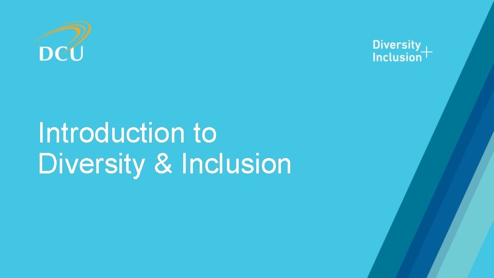 Introduction to Diversity & Inclusion Introduction to Diversity & Inclusion