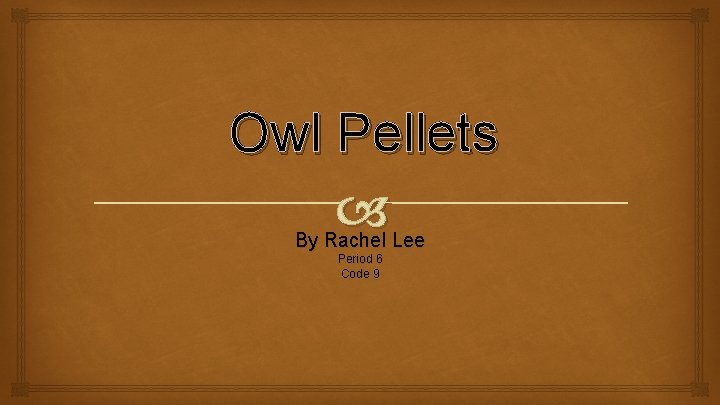 Owl Pellets By Rachel Lee Period 6 Code 9 