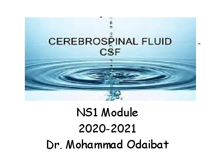 - NS 1 Module 2020 -2021 Dr. Mohammad Odaibat 