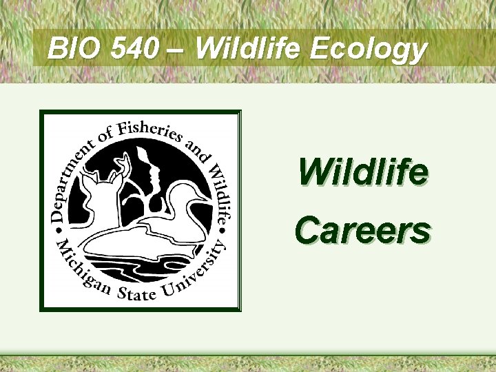 BIO 540 – Wildlife Ecology Wildlife Careers 