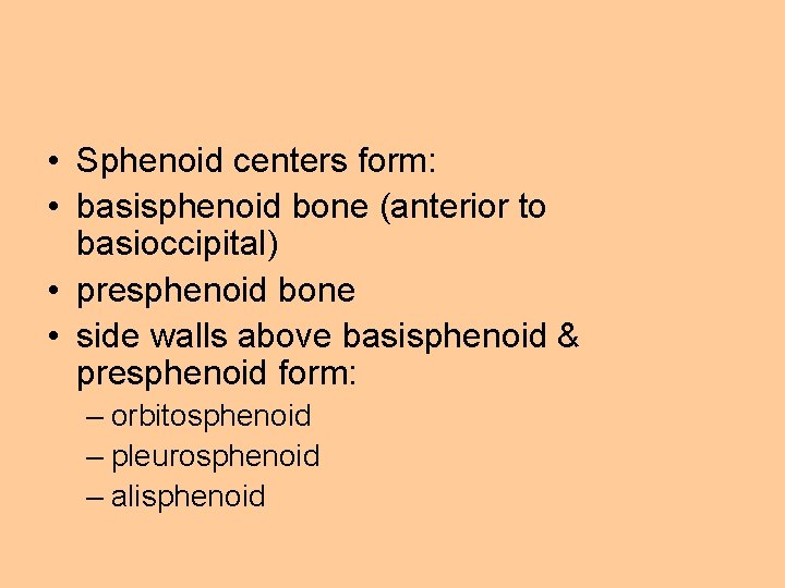  • Sphenoid centers form: • basisphenoid bone (anterior to basioccipital) • presphenoid bone