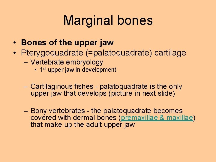 Marginal bones • Bones of the upper jaw • Pterygoquadrate (=palatoquadrate) cartilage – Vertebrate