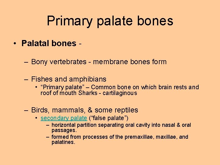 Primary palate bones • Palatal bones – Bony vertebrates - membrane bones form –