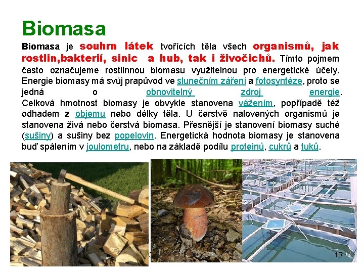 Biomasa je souhrn látek tvořících těla všech organismů, jak rostlin, bakterií, sinic a hub,