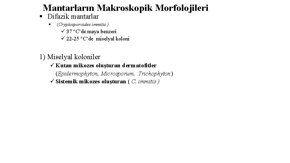 Mantarların Makroskopik Morfolojileri § Difazik mantarlar § (Cryptosporoides immitis ) ü 37 °C’de maya