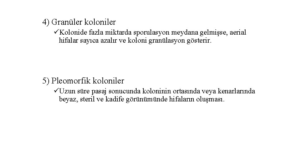 4) Granüler koloniler üKolonide fazla miktarda sporulasyon meydana gelmişse, aerial hifalar sayıca azalır ve