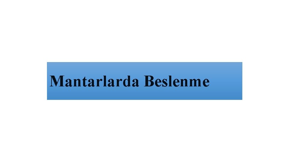 Mantarlarda Beslenme 