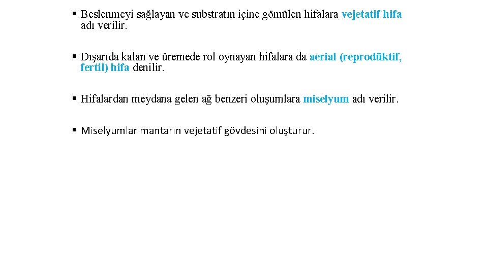 § Beslenmeyi sağlayan ve substratın içine gömülen hifalara vejetatif hifa adı verilir. § Dışarıda