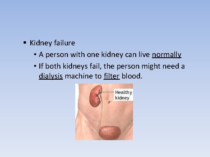 § Kidney failure • A person with one kidney can live normally • If