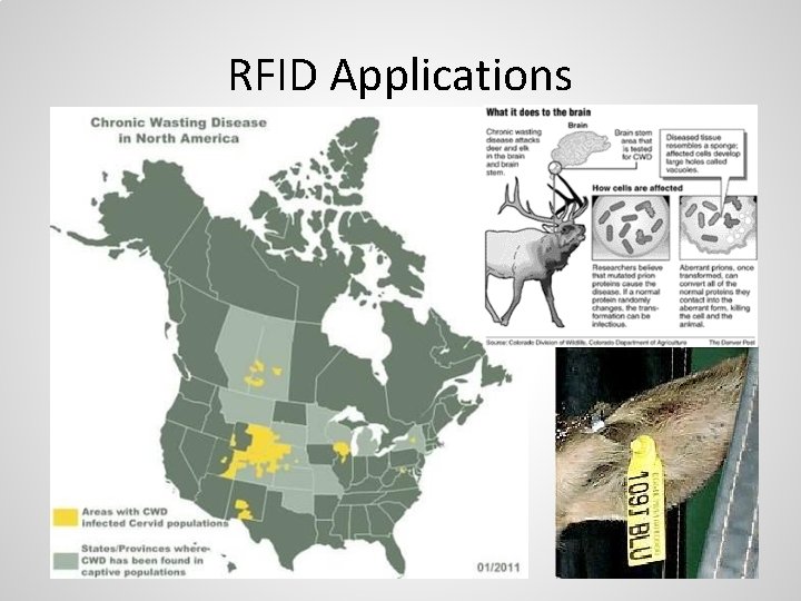 RFID Applications 