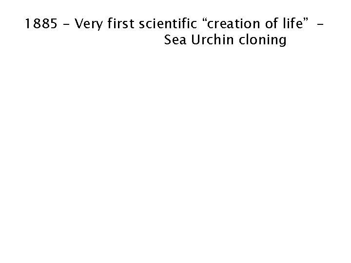 1885 – Very first scientific “creation of life” Sea Urchin cloning 1885 – Very first scientific “creation of life” Sea Urchin cloning