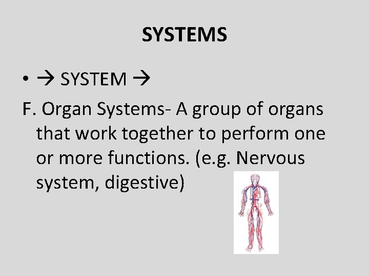 SYSTEMS • SYSTEM F. Organ Systems- A group of organs that work together to