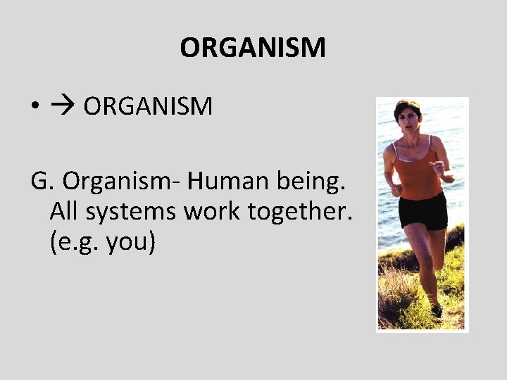 ORGANISM • ORGANISM G. Organism- Human being. All systems work together. (e. g. you)