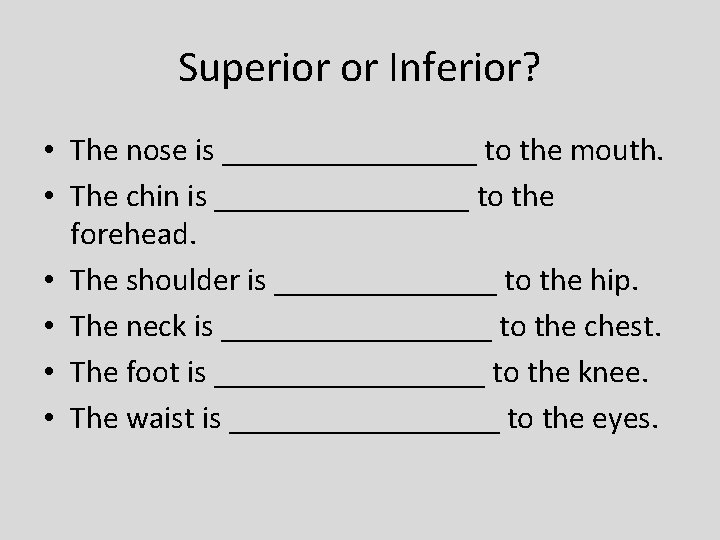 Superior or Inferior? • The nose is ________ to the mouth. • The chin