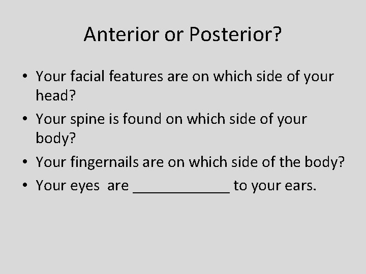 Anterior or Posterior? • Your facial features are on which side of your head?