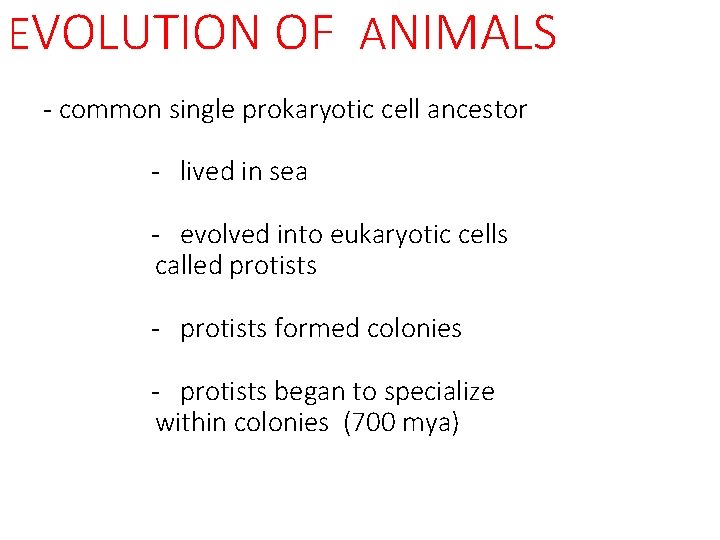 EVOLUTION OF ANIMALS - common single prokaryotic cell ancestor - lived in sea -