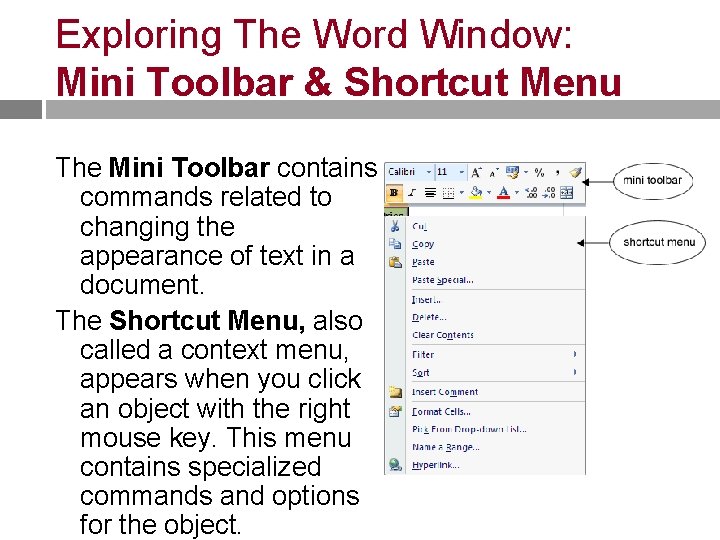 Exploring The Word Window: Mini Toolbar & Shortcut Menu The Mini Toolbar contains commands