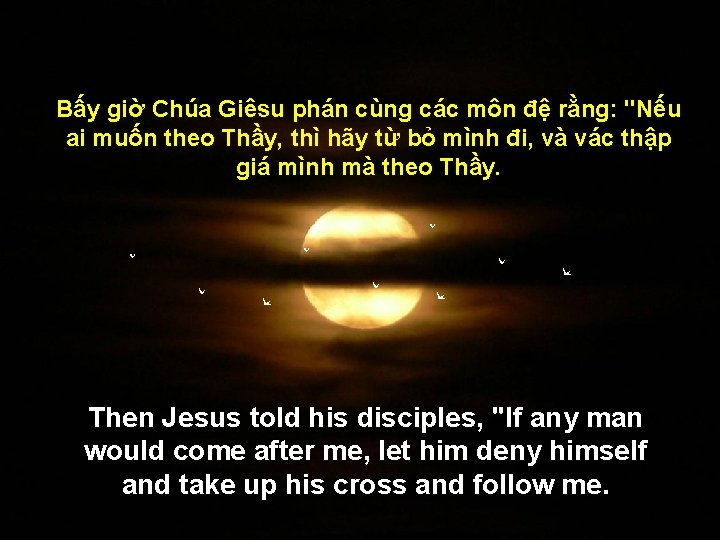 Bấy giờ Chúa Giêsu phán cùng các môn đệ rằng: "Nếu ai muốn theo