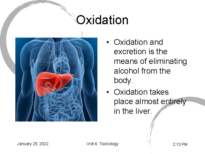 Oxidation • Oxidation and excretion is the means of eliminating alcohol from the body.