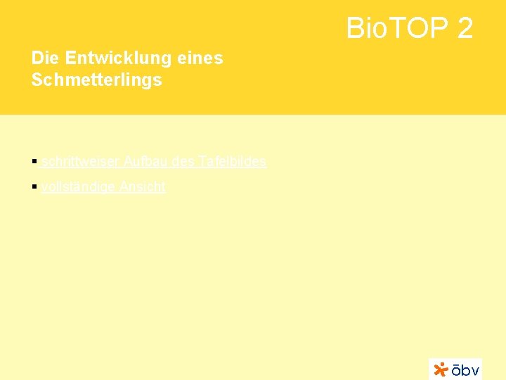 Bio. TOP 2 Die Entwicklung eines Schmetterlings § schrittweiser Aufbau des Tafelbildes § vollständige