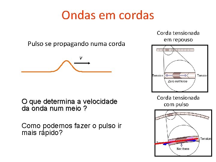 Ondas em cordas Pulso se propagando numa corda Corda tensionada em repouso v O