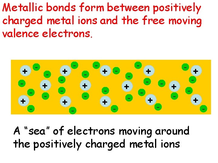 Metallic bonds form between positively charged metal ions and the free moving valence electrons.