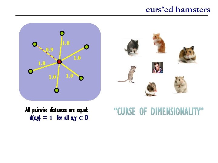 curs’ed hamsters 1. 0 0. 9 1. 0 All pairwise distances are equal: d(x,