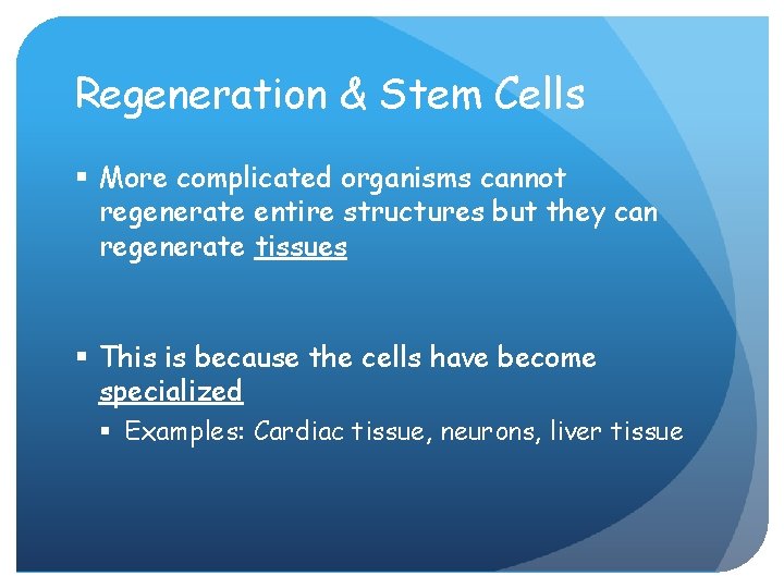 Regeneration & Stem Cells § More complicated organisms cannot regenerate entire structures but they