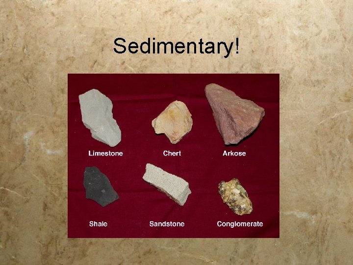 Sedimentary! 