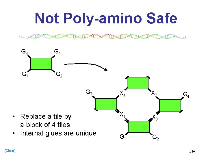 Not Poly-amino Safe G 3 G 4 G 1 G 2 G 3 •