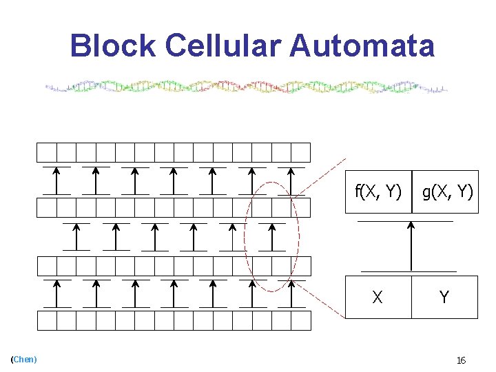 Block Cellular Automata (Chen) f(X, Y) g(X, Y) X Y 16 