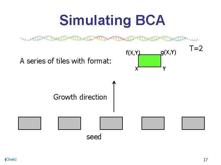 Simulating BCA f(X, Y) g(X, Y) T=2 A series of tiles with format: X