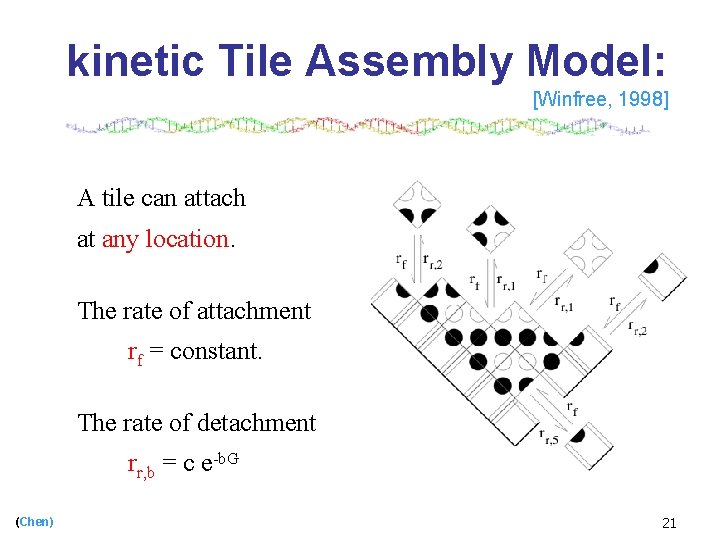 kinetic Tile Assembly Model: [Winfree, 1998] A tile can attach at any location. The