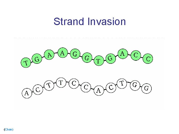 Strand Invasion (Chen) 